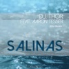 Salinas (feat. Aaron Tesser) - Single