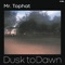 Dusk to Dawn (feat. Lune) - Mr. Tophat lyrics