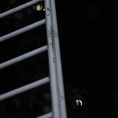 Callejera (feat. Efege One) - Single