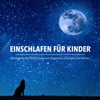 Patrick Lynen - Traumhafte Bilder