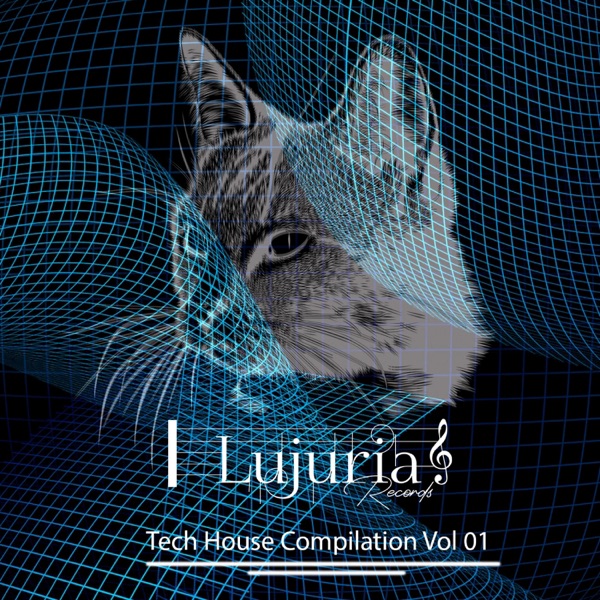 Tech House Compilation Vol 01