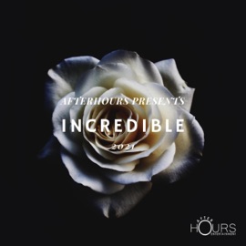 Incredible (feat. Bubbles & Stickz) Deejay Fingers