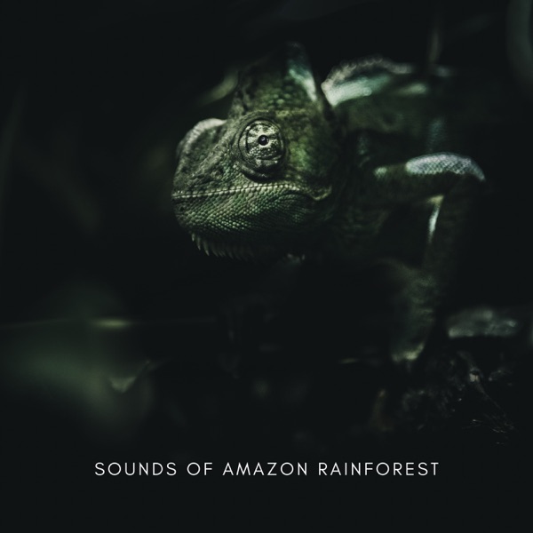 Sounds of Amazon Rainforest - EP