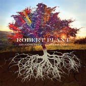 Robert Plant - Big Log (2006 Remaster)
