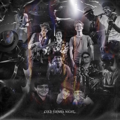 Cold Vienna Night - Single