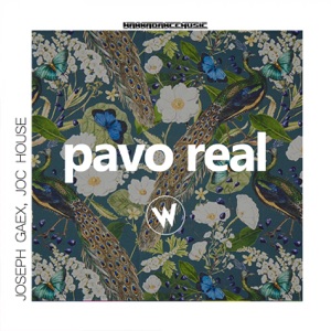 Pavo Real - Single