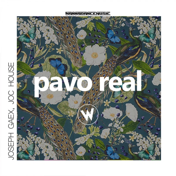 Pavo Real - Single