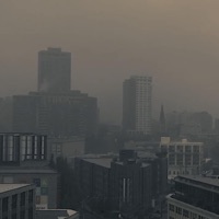 Last Summer - Single - Arbour