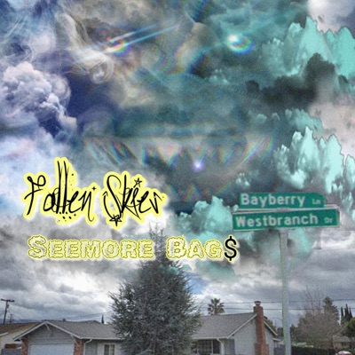 Fallen Skies - Single