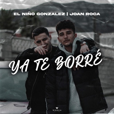 Ya Te Borré - Single