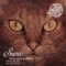Always You (Shiba San Remix) - Sonny Fodera & Bontan lyrics