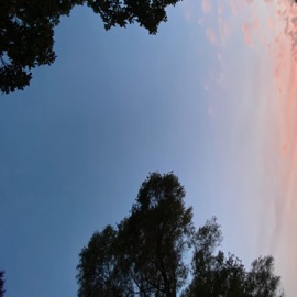 Poppy Fields Going2Prison