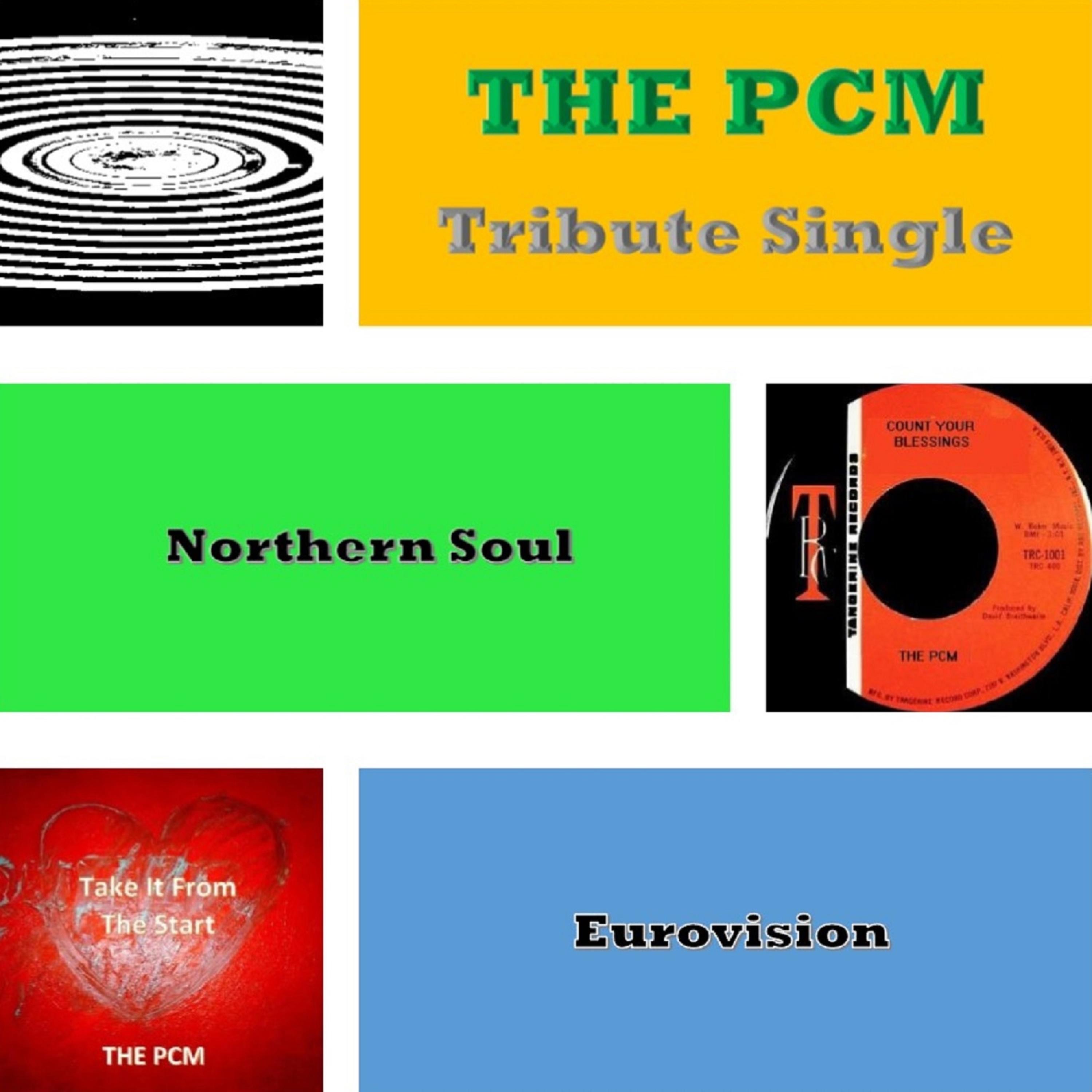 Tribute Single (Northern Soul & Eurovision) - Single