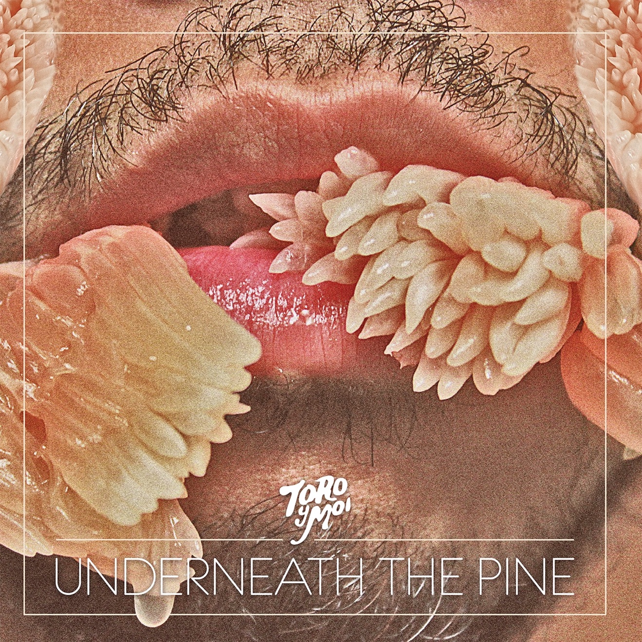 Toro y Moi – Underneath the Pine (2011) [iTunes Match M4A]