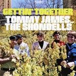 Tommy James & The Shondells - Lost in Your Eyes