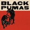 Colors - Black Pumas lyrics