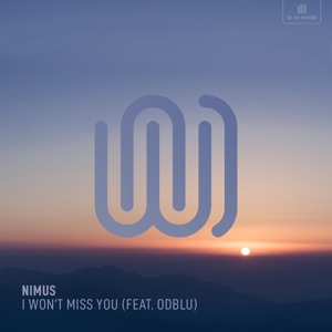 I Won't Miss You (feat. ODBLU)