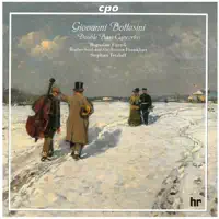 Sinfonieorchester