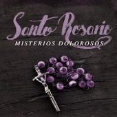 Santo Rosario: Misterios Dolorosos artwork