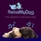 Evening by the Fire - Relaxmydog lyrics