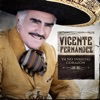 Vicente Fernández - Ya No Insistas Corazón