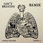 Kabaka Pyramid - Can't Breathe (Genius T Remix)