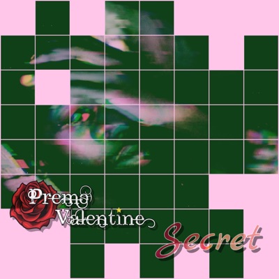 Secret - Single