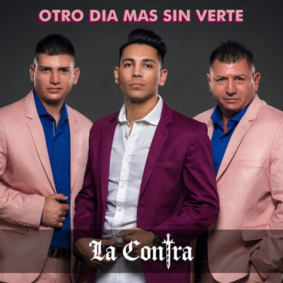 Otro Día Más Sin Verte - Single