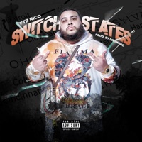 Switch States - Single - FTB Rico
