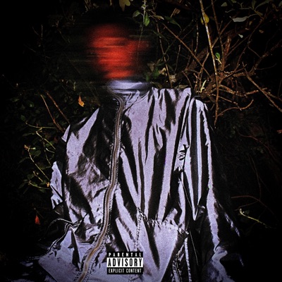 Message to the Game - Single