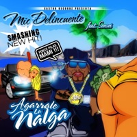 Agarrale la Nalga - Single - Mic Delincuente