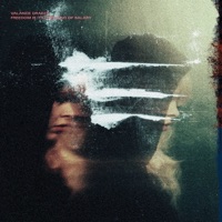 Freedom Is Its Own Kind of Salary - Valance Drakes