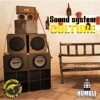 Sound System Culture (feat. Panchacoco) - Single