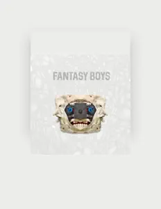 Listen to Fantasy Boys, watch music videos, read bio, see tour dates & more!