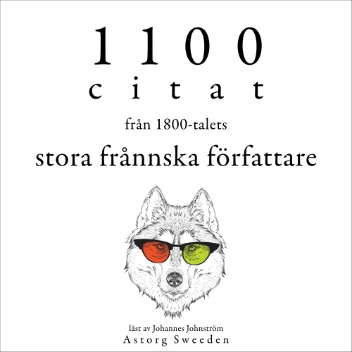 1100 citat från de stora franska författarna på 1800-talet: Samling av de bästa citat cover