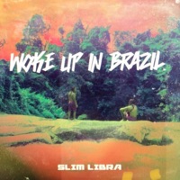 Woke Up in Brazil - Slim Libra