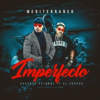 Imperfecto (feat. Mediterraneo & el Terror) - Single - Roberto Estobal