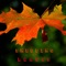 Shedding of Leaves - Generaction X lyrics