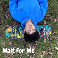 Wait for Me (feat. MidnightMade) - Single - Henry Cole