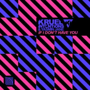 If I Don't Have You - Single
