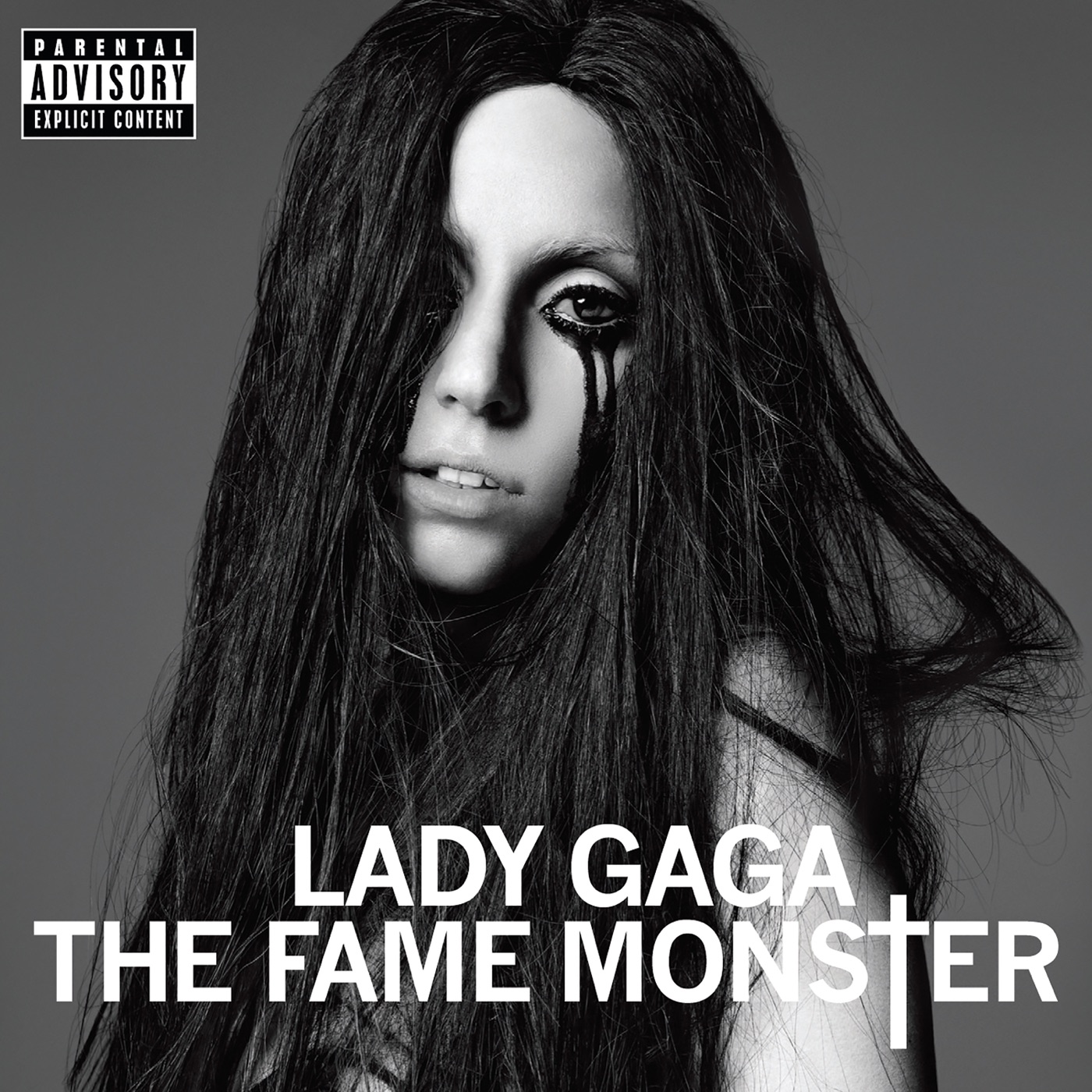 The Fame Monster by Lady Gaga