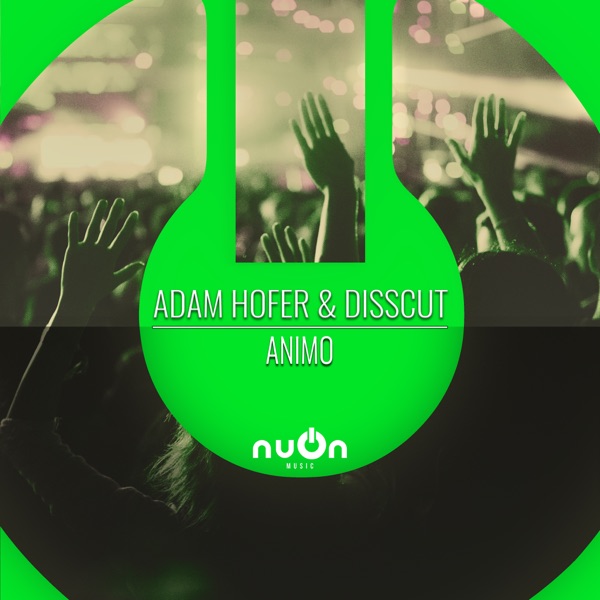 Animo - Single