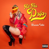 All This Drip - Single - Brandon Wilde