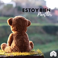 Estoy Bien - Single - Panther