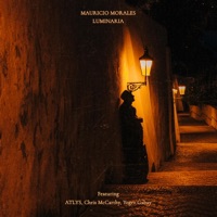 Luminaria (feat. Atlys, Chris McCarthy & Yogev Gabay) - Single - Mauricio Morales