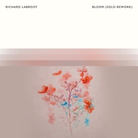 Richard LaBrooy - Bloom (Solo Rework)