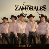 Zamorales - Ansiedad