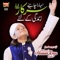 Sahara Chahiye - Muhammad Hassan Raza Qadri lyrics