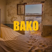 Bako artwork