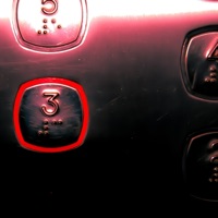 Elevator Music - RexFlex